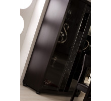 Двухстворчатый шкаф витрина в гостиную Мира MIRA-01 венге Двухстворчатый шкаф витрина в гостиную Мира MIRA-01 венге